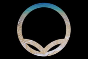 Vita Sapien design artwork 6