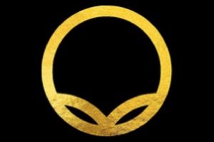 Vita Sapien design artwork 7